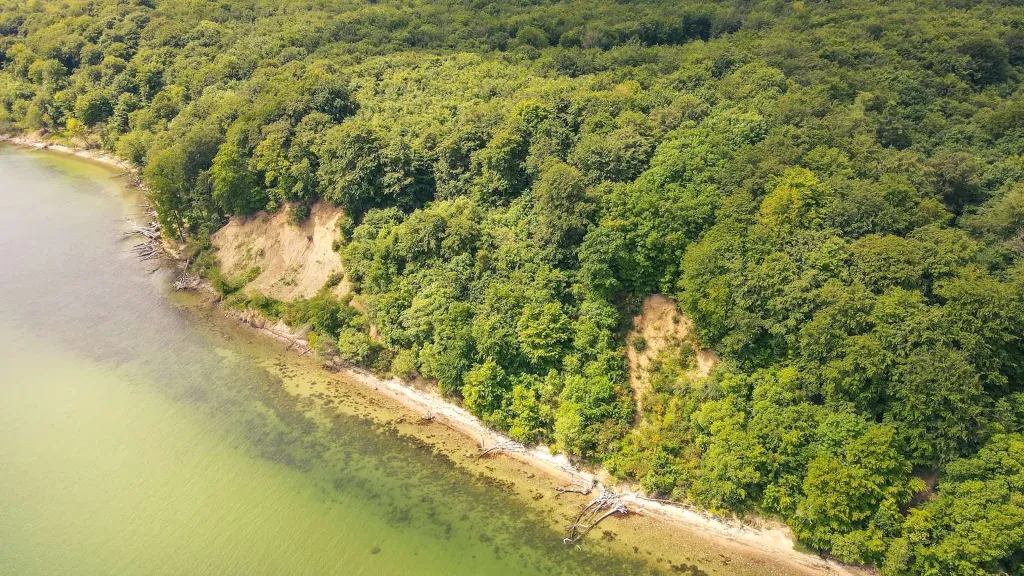 A drone photo of Stenhøj Strand and cliffs