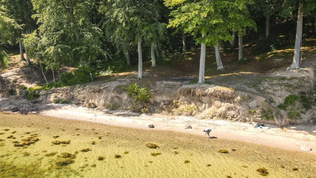 An aerial photo of Stenhøj Strand and Staksrode Forest