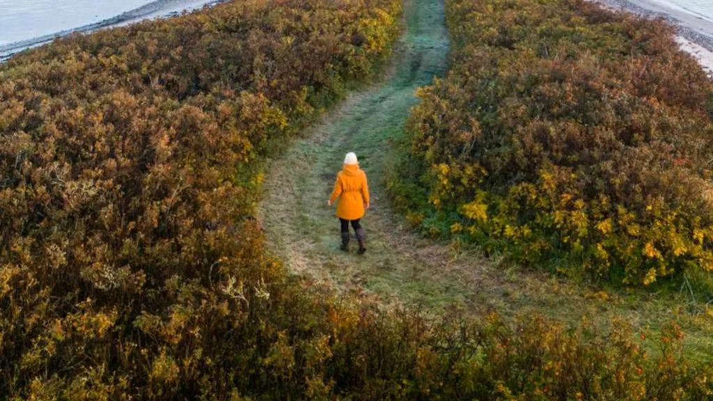 A woman walking on a grassy path at Borre Knob