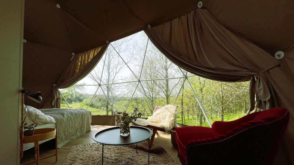 The glamping dome Bøgebjerg seen from the inside, with a view of the forest