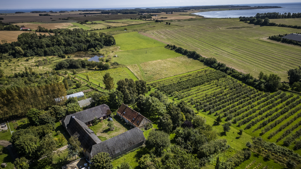 Aerial photo of Brandbygegaard and Horsens Fjord