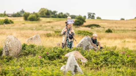 En familie kigger på Vikingeskibssætningen Kalvestenene på Hjarnø