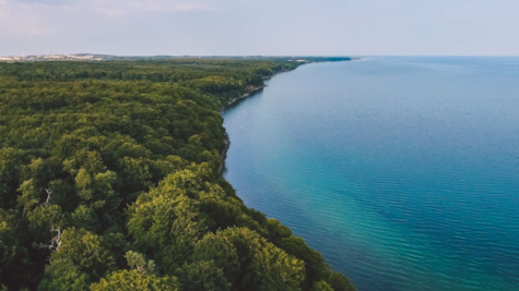 Luftfoto af Staksrode Skov og Vejle Fjord