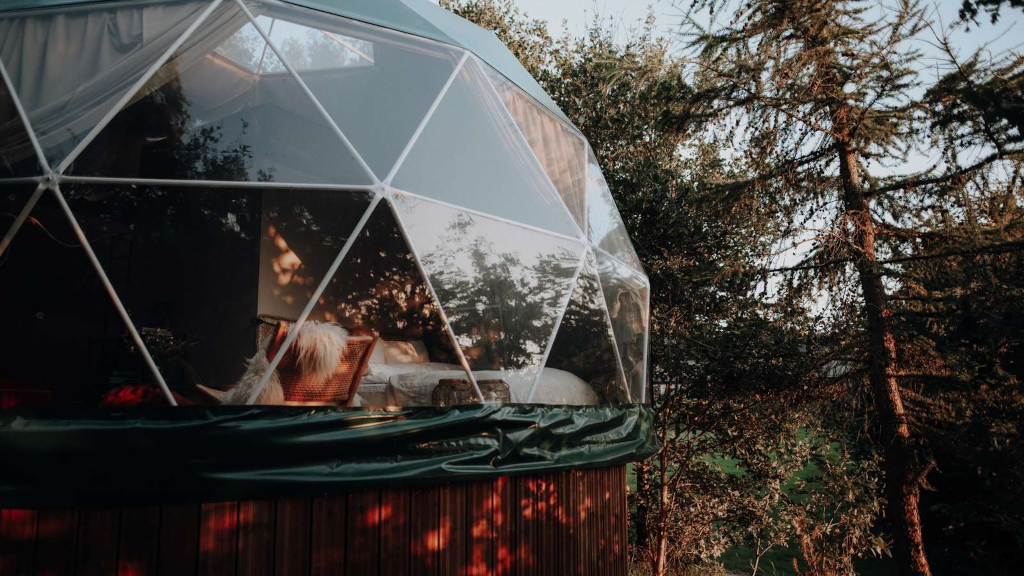Glamping dome Bøgebjerg seen from the outside, surrounded by trees