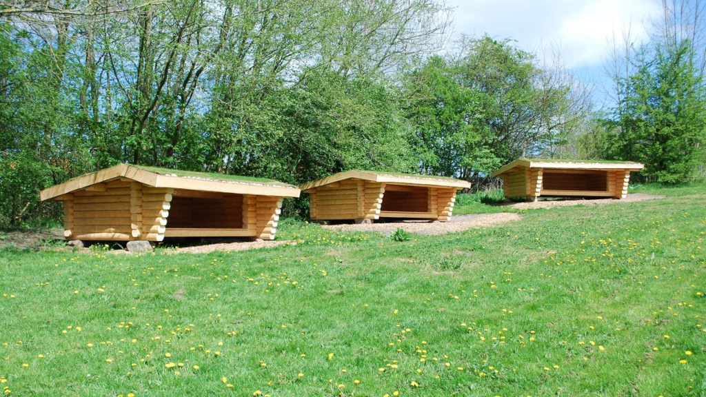 Three shelters on a lawn at Bygholm Sø Camping