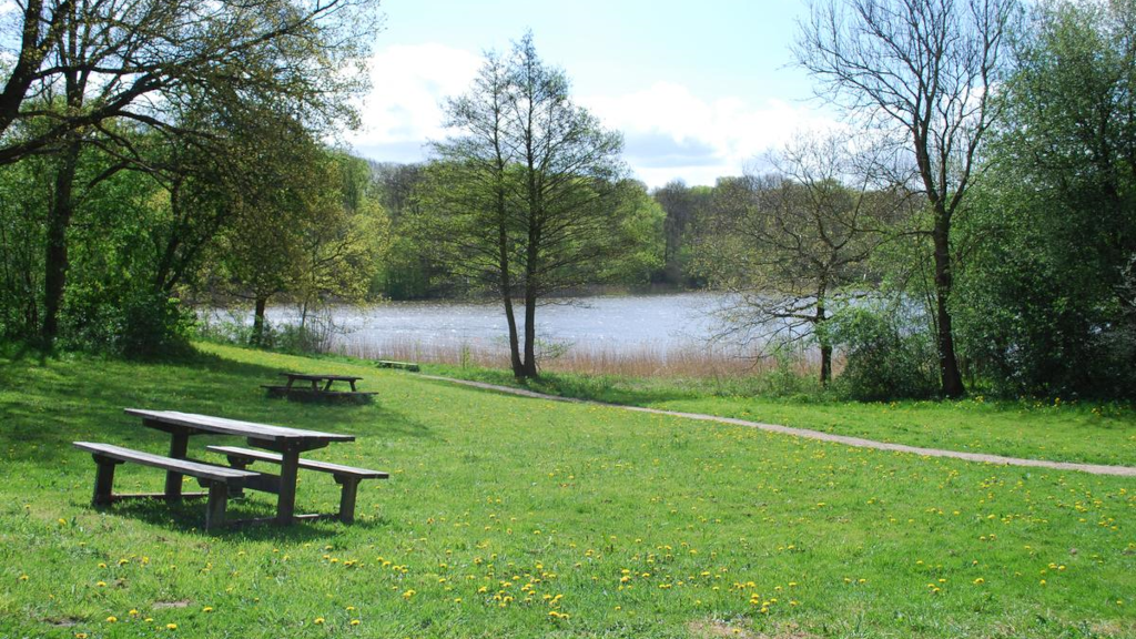 Benches on a lawn with a view of Bygholm Lake