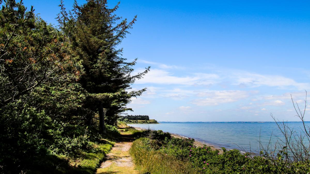 Path along Tunø Nordstrand with tall trees on the side