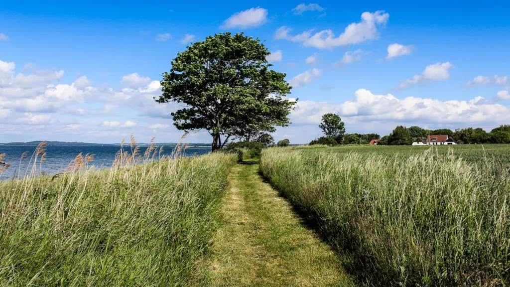 A grassy path along the coast on Hjarnø