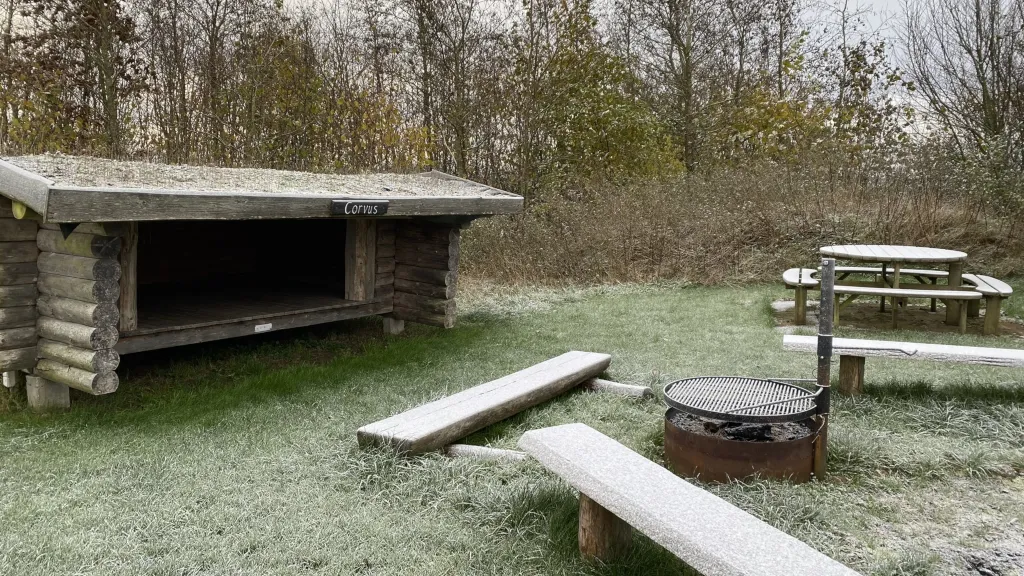 Shelter site with a firepit in the Fairy Tale Forest