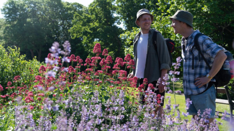 To mænd kigger på blomster i Palsgaard Slotspark