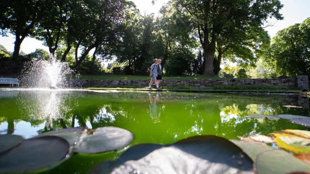 Two men are walking along a lake with water lilies and a fountain in Palsgaard Castle Park