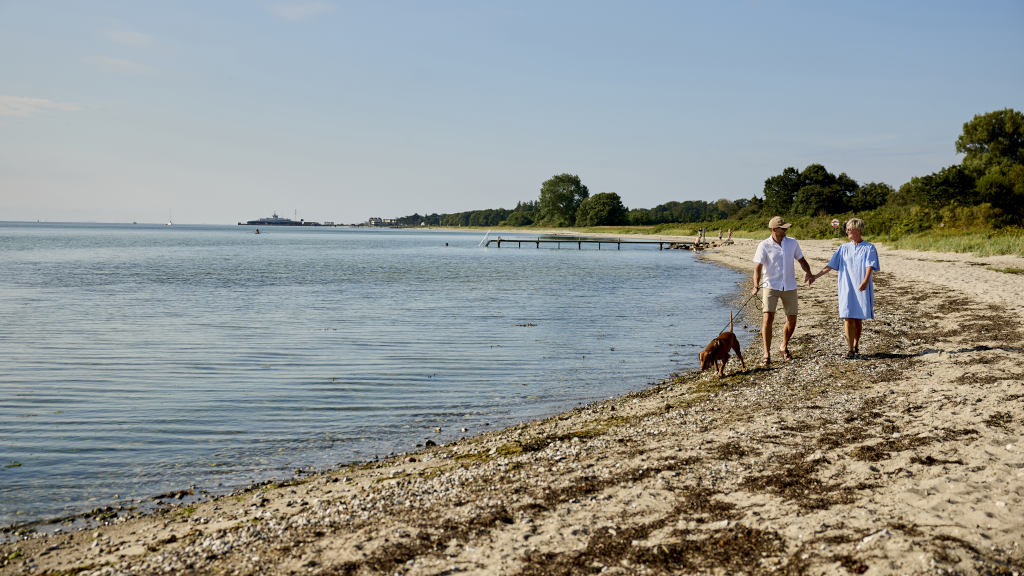 A couple is walking their dog on Hølken Beach