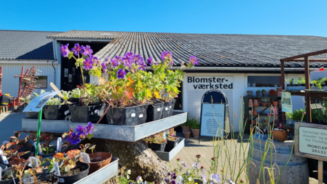 Blomsterværkstedet hos Tinnetgaard set udefra