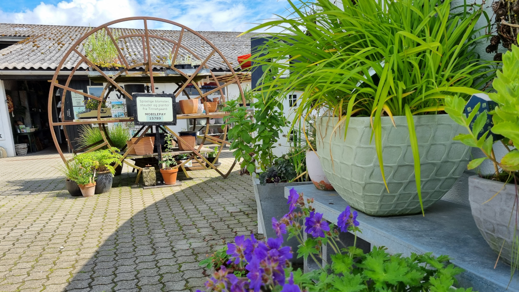 Pots with flowers in the courtyard at Tinnetgaard