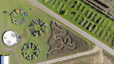 Luftfoto af besøgshaven hos Tinnetgaard