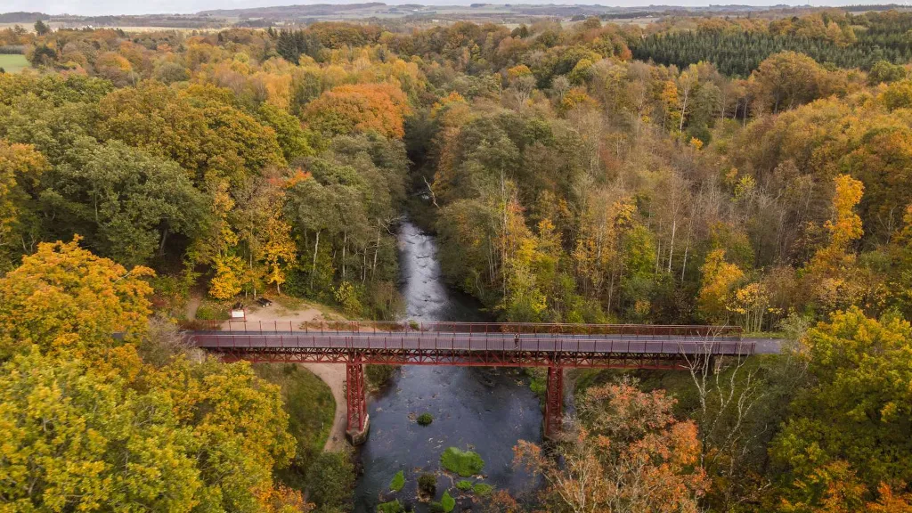 Dronefoto af Den Genfundne Bro og Træden Skov