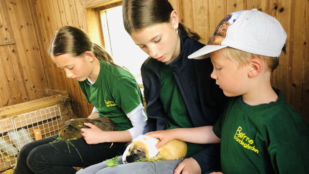 Tre børn sidder med marsvin på skødet hos Børnebondegården