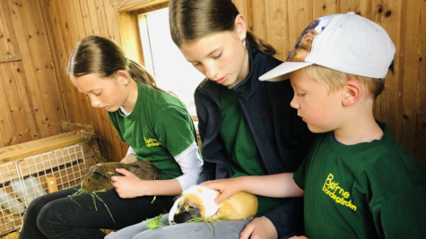 Tre børn sidder med marsvin på skødet hos Børnebondegården