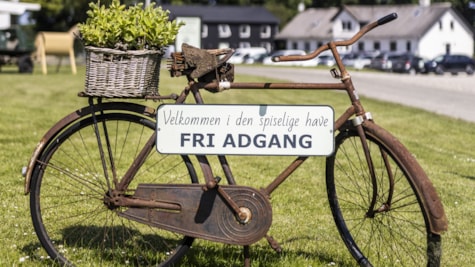 Fri adgang til Tinnetgaard