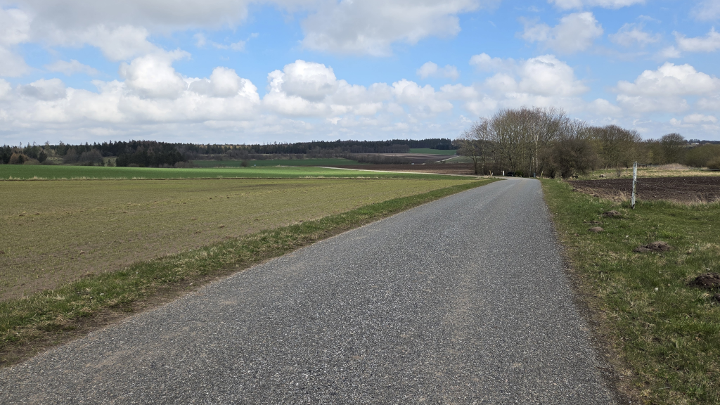 En landevej mellem markerne ved Aastedbro