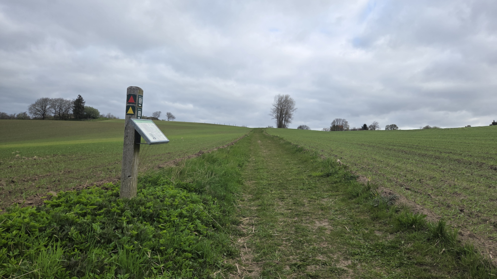 Natursti gennem marker ved Underup på Gudenåstien