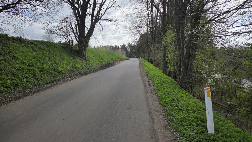 Bakke på Gammelstrupvej gennem Træden Skov