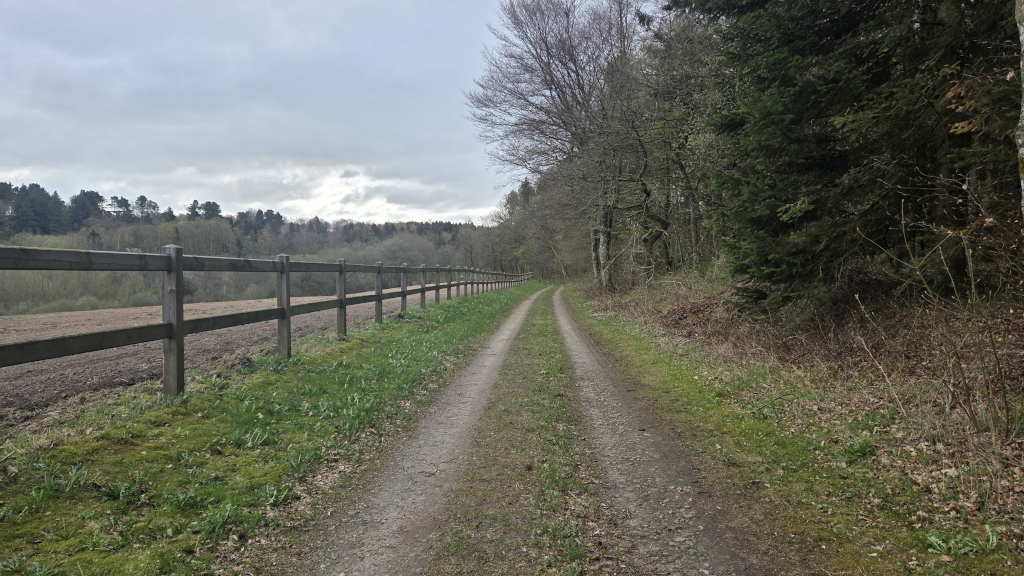 Grusvej langs hesteindhegning ved Nim