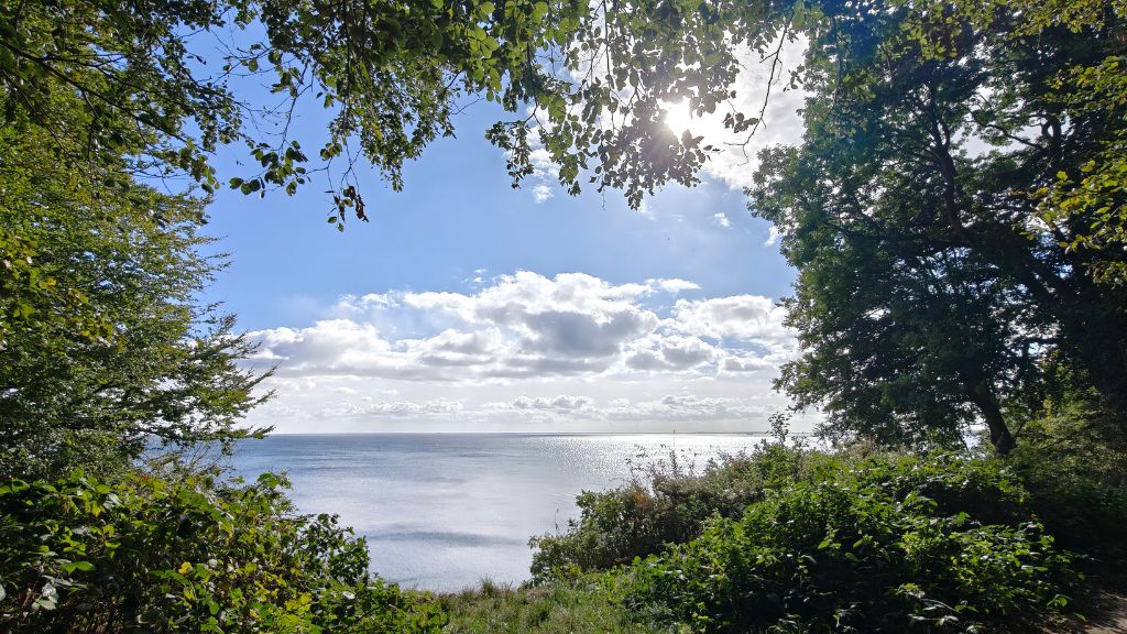 Frühlingstag im Staksrode Wald mit Sonnenschein und Blick auf das Wasser