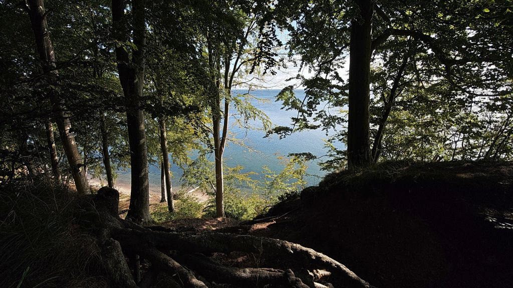 Frühlingstag im Staksrode Wald mit Sonnenschein und Blick auf das Wasser