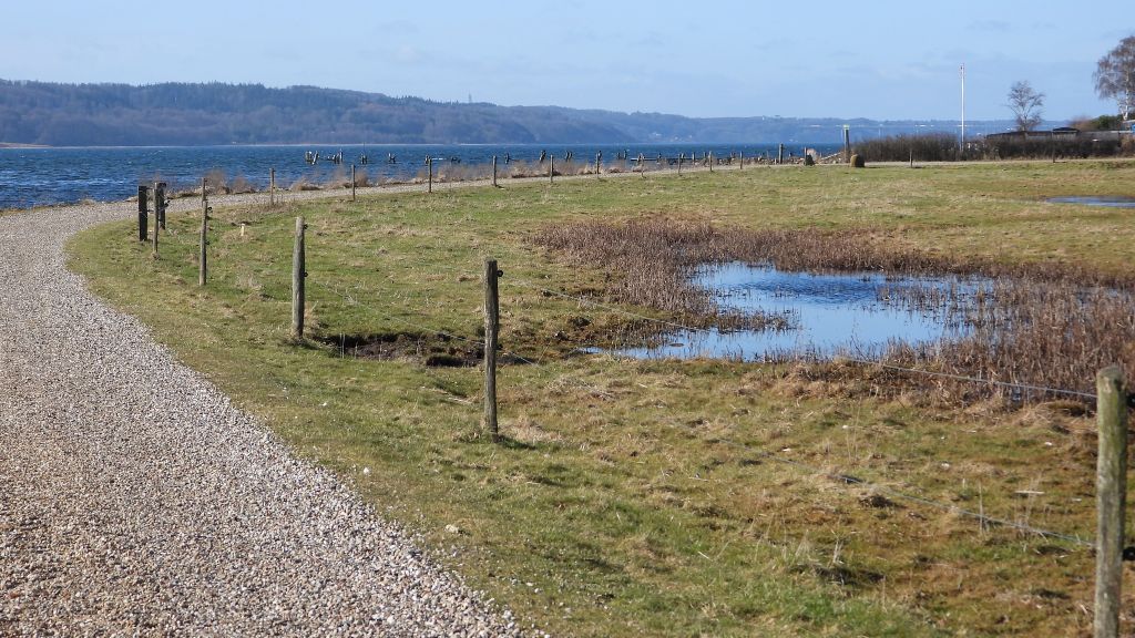 Gravel road right by the fjord near Daugård.