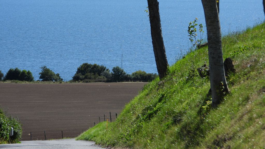 Landscape near Daugård with fields and Vejle Fjord.