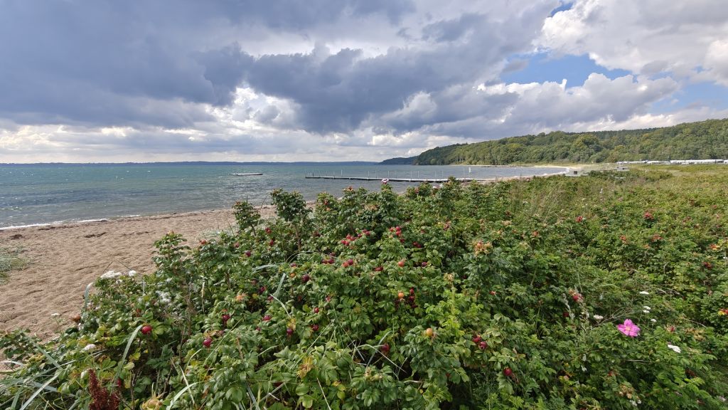 Rosenvold Beach, where you can see the campsite located right by the beach.