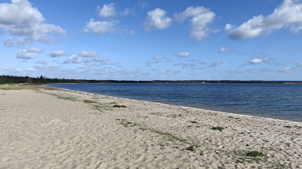 Sandbjerg Vig with a view along the excellent bathing beach to the left, under blue skies.