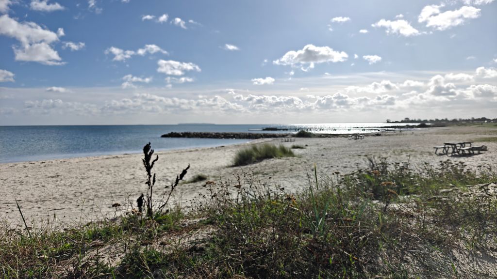 Sandbjerg Vig Beach with a view towards a picnic table and benches.