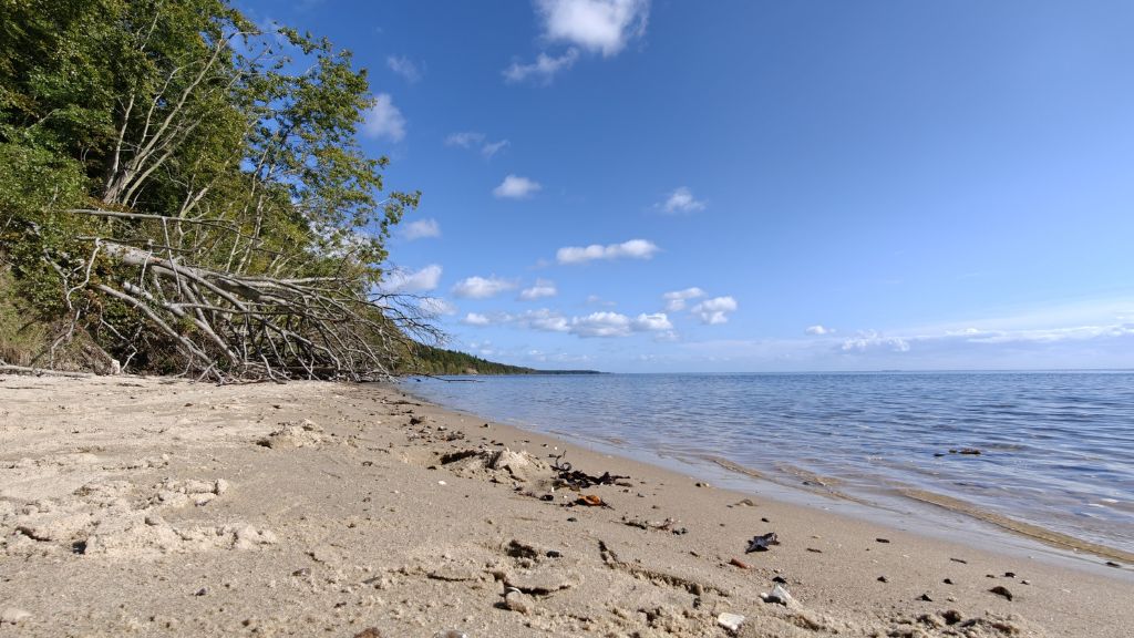 Stenhøj Strand bei Staksrode Wald an einem schönen Frühlingstag mit blauem Himmel und Sonne.