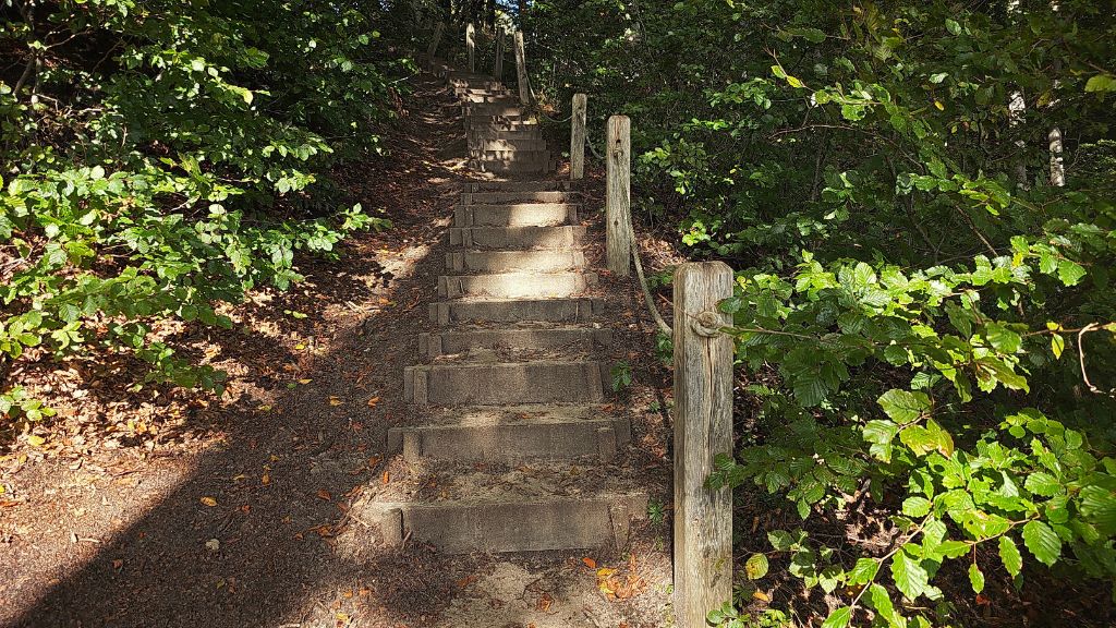 The staircase leading from Staksrode Forest down to Stenhøj Beach.