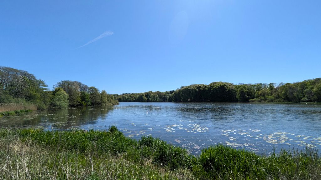 Blauer Himmel und Sonnenschein an einem Frühlingstag am Bygholm See bei Horsens.