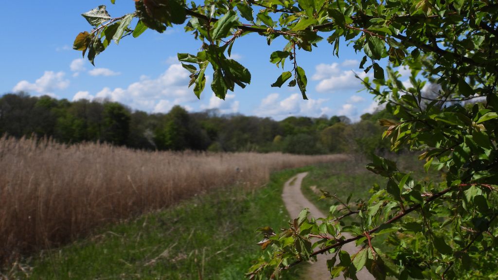 Blauer Himmel und Sonnenschein an einem Frühlingstag am Bygholm See bei Horsens.