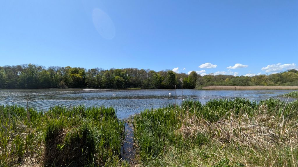 Blauer Himmel und Sonnenschein an einem Frühlingstag am Bygholm See bei Horsens.