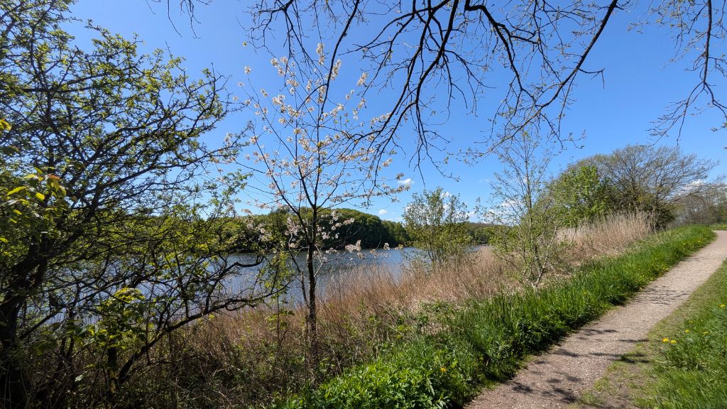 Blauer Himmel und Sonnenschein an einem Frühlingstag am Bygholm See bei Horsens.