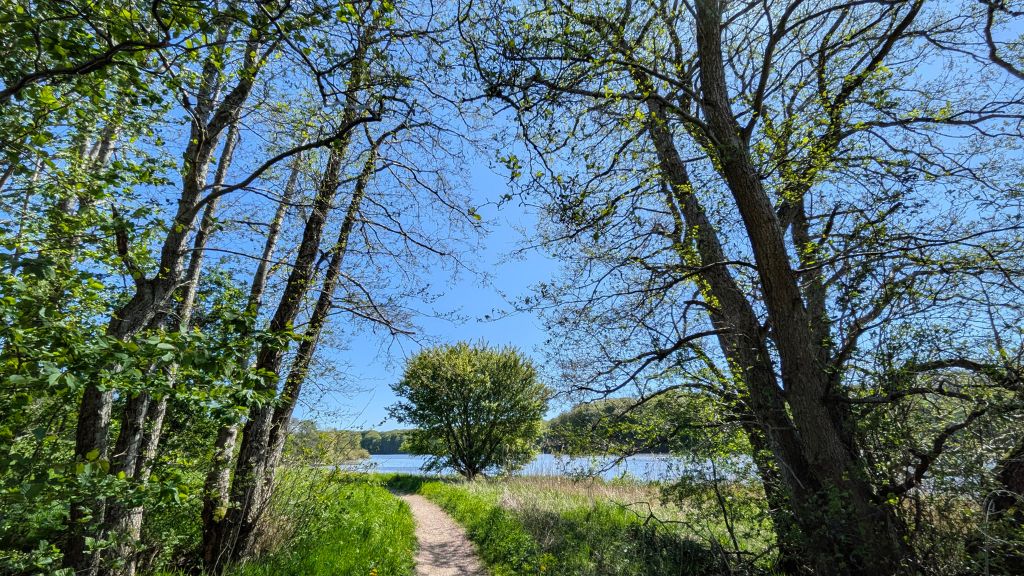 Blauer Himmel und Sonnenschein an einem Frühlingstag am Bygholm See bei Horsens.