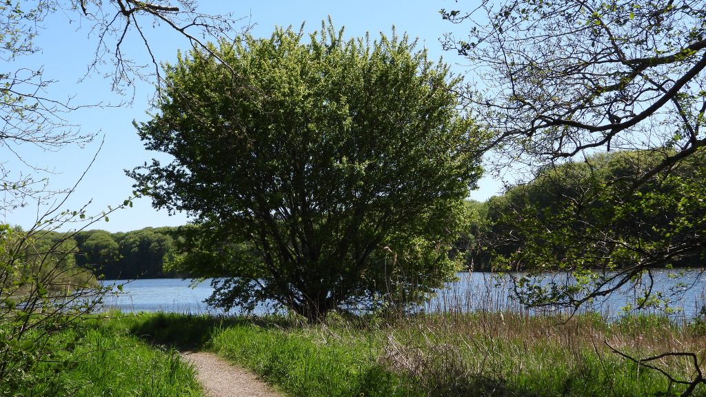 Blauer Himmel und Sonnenschein an einem Frühlingstag am Bygholm See bei Horsens.