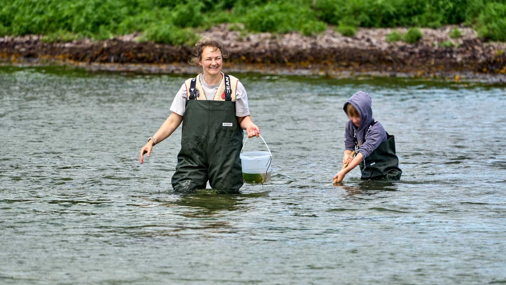 Mor og søn i waders går i vandet på guidet tur med Naturpark Svanegrund