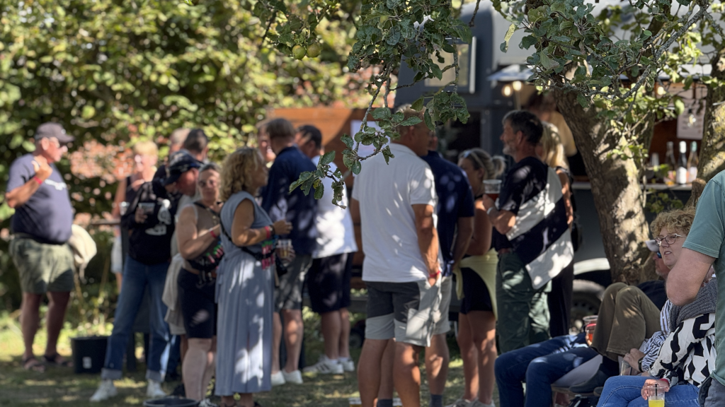 Folk finder skygge under træer til Festivalen Endelave