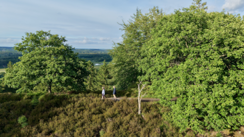 Dronefoto af to vandrere på toppen af Sukkertoppen