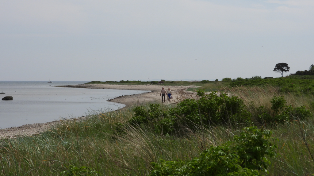 Et par går på stranden på Kysing Strand