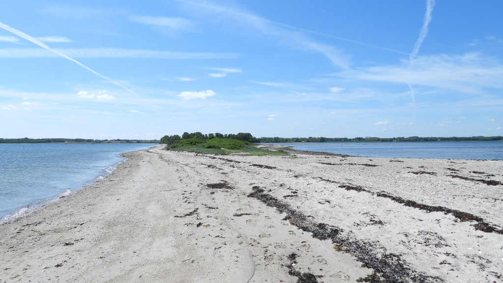 Strand på den yderste del af Borre Knob