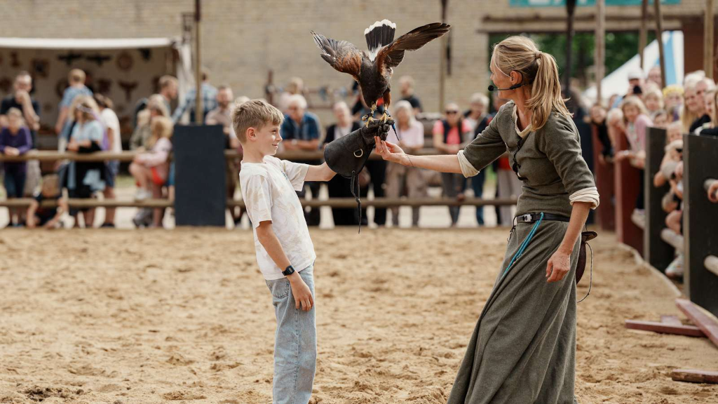 Dreng står med rovfugl i arenaen til Horsens Middelalderfestival