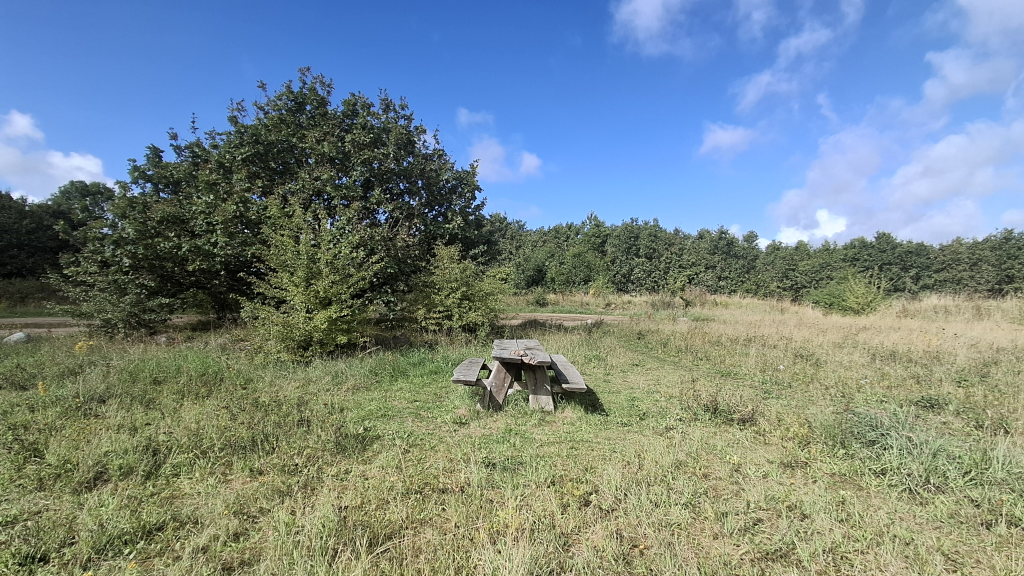 Et bord/bænkesæt i en lysning i Sebberup Skov