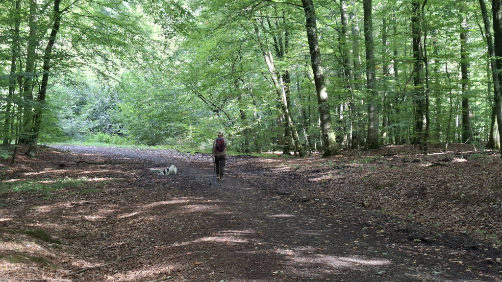 En kvinde går tur med sin hund på en skovsti i Kærskoven